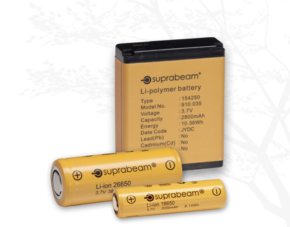 rechargeable_batteries_infobox.png