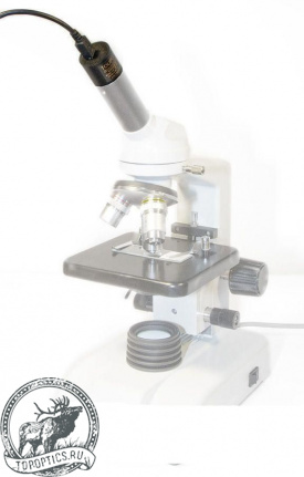 Камера для микроскопа ToupCam SCMOS05000KPA