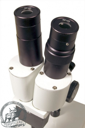 Микроскоп Levenhuk 2ST бинокулярный #35322