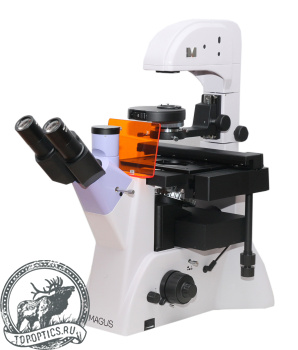 Микроскоп люминесцентный инвертированный MAGUS Lum V500L #82909