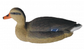 Чучело BirdLand кряква плавающая большая (утка) #7915