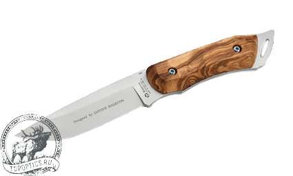 Нож Maserin Outdoor (лезвие 120 мм, нержавеющая сталь, рукоять оливковое дерево) #982/OL