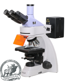 Микроскоп люминесцентный MAGUS Lum 400 #82904