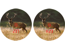 3-victory-rf-deer-range_224x168.png