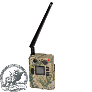 Фотоловушка Boly Guard BG710-M 24mHD Camo