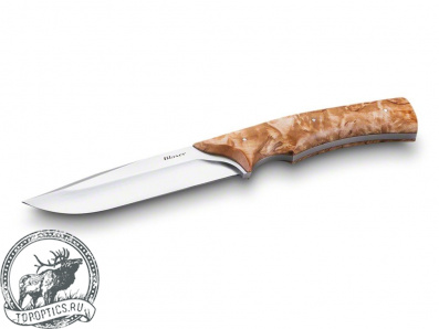 Нож Blaser Masalat Polaris 165156