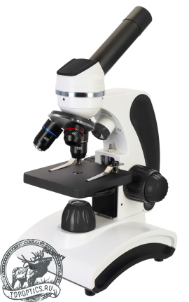 Микроскоп Levenhuk Discovery Pico Terra с книгой #77974
