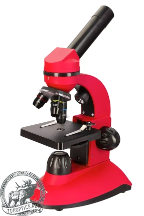 Микроскоп Levenhuk Discovery Nano Polar с книгой #77965