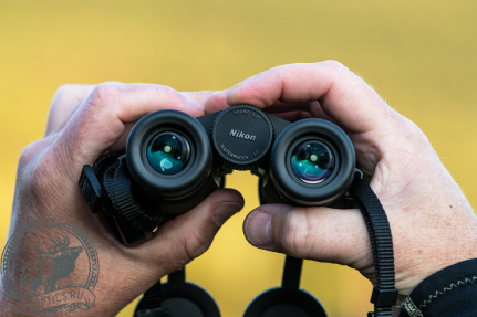 Бинокль Nikon Monarch M5 10x42