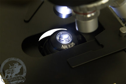 Микроскоп Levenhuk 720B, бинокулярный #69656