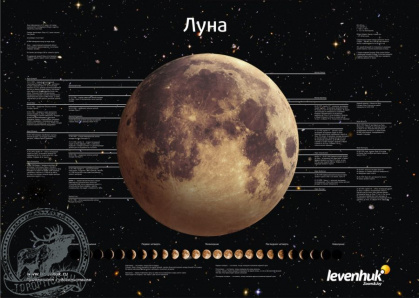 Постер Levenhuk «Луна» #16649