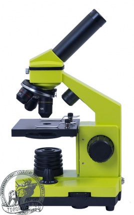 Микроскоп Levenhuk Rainbow 2L Lime\Лайм #69038