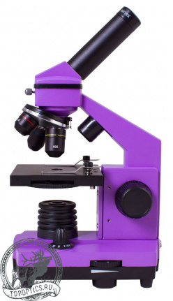 Микроскоп Levenhuk Rainbow 2L PLUS Amethyst\Аметист #69042