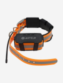 GPS-ошейник ARTELV COLLAR Only 2W