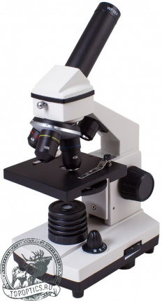 Микроскоп Levenhuk Rainbow 2L PLUS Moonstone\Лунный камень #69041