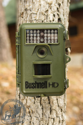 Камера слежения за животными Bushnell NatureView Cam HD Essential #119739