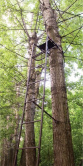 Засидка на дерево со складной лестницей Canadian Camper CC #TS-622