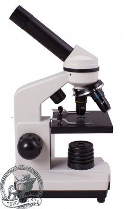 Микроскоп Levenhuk Rainbow 2L Moonstone\Лунный камень #69035