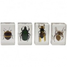 Набор 3D-образцов насекомых Celestron №2  #44408