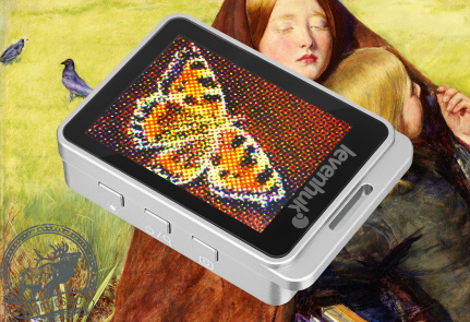 Лупа цифровая Levenhuk ERGO 20