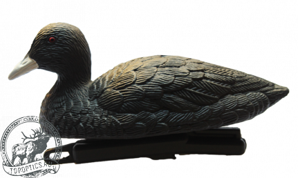 Чучело BirdLand утка-лысуха плавающая #7467