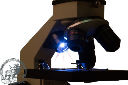 Микроскоп Levenhuk Rainbow 2L PLUS Moonstone\Лунный камень #69041