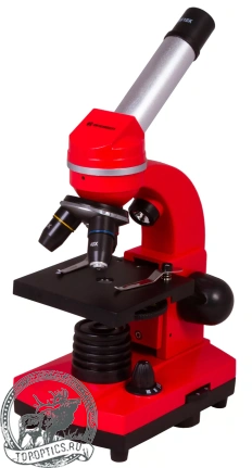 Микроскоп Bresser Junior Biolux SEL 40–1600x красный #74320