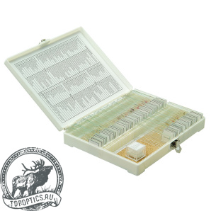 Набор готовых микропрепаратов Микромед №80