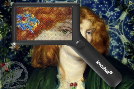 Лупа цифровая Levenhuk ERGO 40 PRO