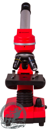 Микроскоп Bresser Junior Biolux SEL 40–1600x красный #74320