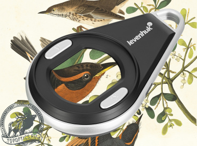 Лупа цифровая Levenhuk ERGO 10