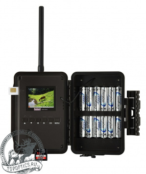 Камера слежения за животными Bushnell Trophy Cam HD Wireless #119598