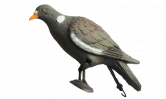 Чучело BirdLand голубь с лапами / на опоре #7817